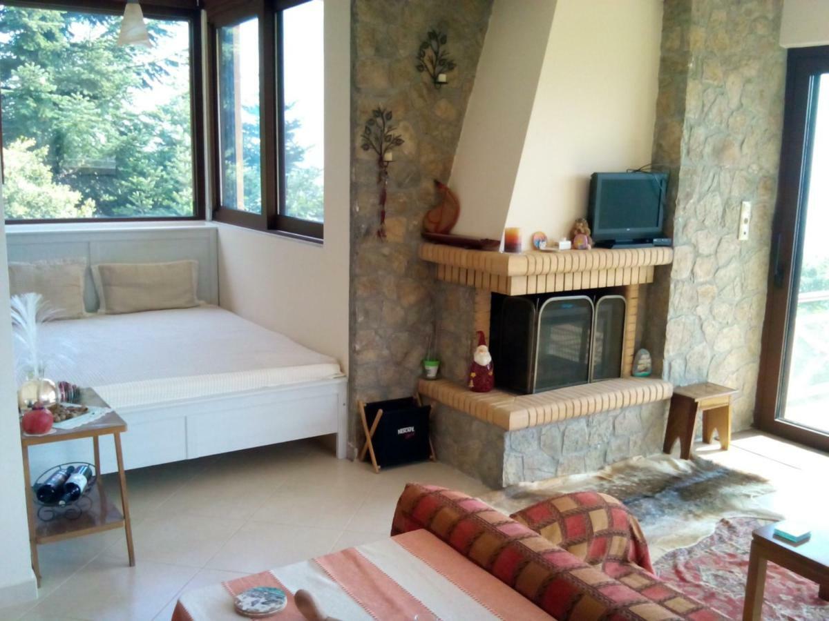 Elatos Cozy Studio Áno Tríkala Kültér fotó